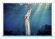 Thumbnail-14