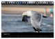 Thumbnail-10