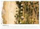 Thumbnail-14