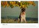 Thumbnail-12