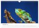 Thumbnail-14