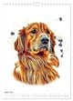 Thumbnail-11