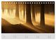 Thumbnail-13