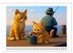 Thumbnail-11