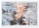 Thumbnail-7