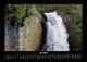 Thumbnail-11