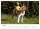 Thumbnail-12
