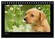 Thumbnail-9