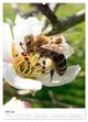 Thumbnail-11