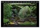 Thumbnail-9