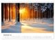 Thumbnail-14