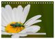 Thumbnail-10