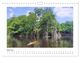 Thumbnail-9