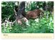 Thumbnail-10