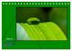 Thumbnail-9