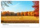 Thumbnail-14