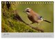 Thumbnail-9