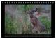 Thumbnail-14