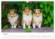 Thumbnail-9