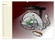 Thumbnail-8