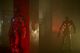 Thumbnail-11