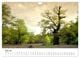Thumbnail-12