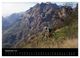 Thumbnail-14
