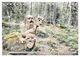 Thumbnail-10