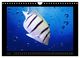 Thumbnail-11