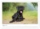 Thumbnail-11