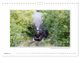 Thumbnail-10