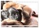 Thumbnail-14