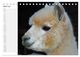 Thumbnail-9