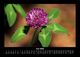 Thumbnail-10