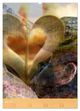 Thumbnail-12