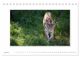 Thumbnail-11