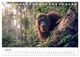 Thumbnail-9