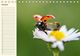 Thumbnail-13