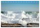 Thumbnail-14