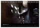 Thumbnail-11