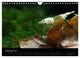 Thumbnail-14