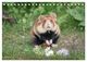 Thumbnail-14