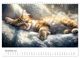Thumbnail-13