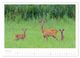 Thumbnail-11