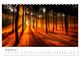 Thumbnail-13
