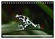 Thumbnail-8