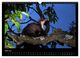 Thumbnail-10