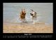 Thumbnail-12