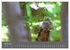 Thumbnail-9