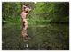 Thumbnail-12